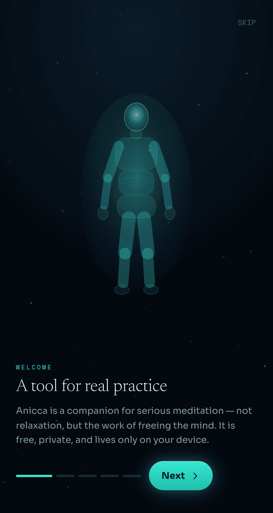 Anicca — a guided body-scan onboarding screen on a dark, starlit background